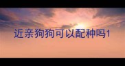近亲狗狗可以配种吗