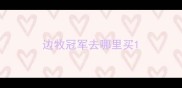 边牧冠军去哪里买