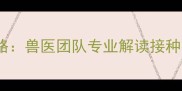 拉布拉多犬狂犬疫苗接种全攻略兽医团队专业解读接种时间表注意事项与常见误区