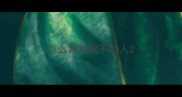 怎么教狗狗不咬人