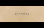 猫咪打了疫苗洗澡