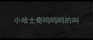 小哈士奇呜呜呜的叫