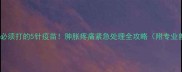 边牧咬伤后必须打的5针疫苗肿胀疼痛紧急处理全攻略附专业兽医建议
