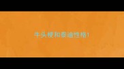 牛头梗和泰迪性格