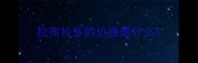 拉布拉多的价格是什么