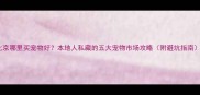 北京哪里买宠物好本地人私藏的五大宠物市场攻略附避坑指南