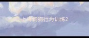 上海狗狗行为训练