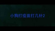 小狗打疫苗打几针