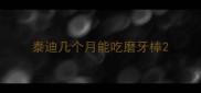 泰迪几个月能吃磨牙棒