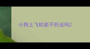 小狗上飞机能不托运吗