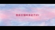 搬家后猫咪食欲不好