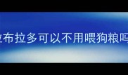 拉布拉多可以不用喂狗粮吗