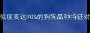 5种与博美犬相似度高达90的狗狗品种特征对比与选购指南