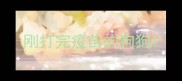 刚打完疫苗的狗狗