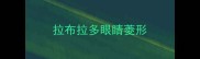 拉布拉多眼睛菱形