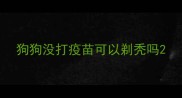 狗狗没打疫苗可以剃秃吗