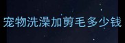宠物洗澡加剪毛多少钱