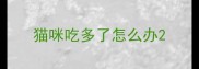 猫咪吃多了怎么办
