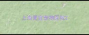 上海便宜宠物医院