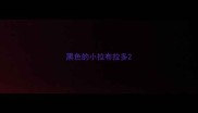 黑色的小拉布拉多