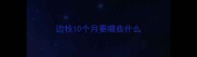 边牧10个月要喂些什么