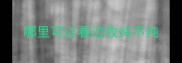 哪里可以看边牧纯不纯