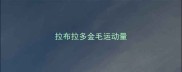 拉布拉多金毛运动量