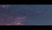 拉布拉多辽阳多钱