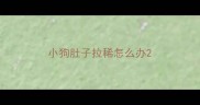 小狗肚子拉稀怎么办