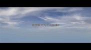 高加索犬九个月标准