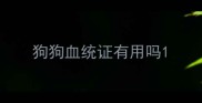 狗狗血统证有用吗