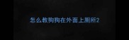 怎么教狗狗在外面上厕所