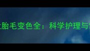 拉布拉多幼犬胎毛变色全科学护理与常见误区指南