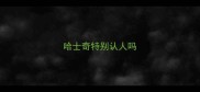 哈士奇特别认人吗