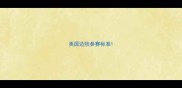 美国边牧参赛标准