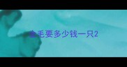 金毛要多少钱一只