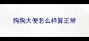 狗狗大便怎么样算正常