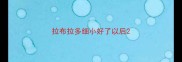拉布拉多细小好了以后