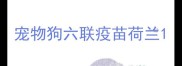 宠物狗六联疫苗荷兰