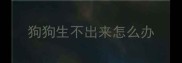 狗狗生不出来怎么办