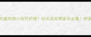 2个月比熊犬瘟热细小如何护理幼犬高发期家长必看附紧急处理指南