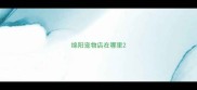 绵阳宠物店在哪里