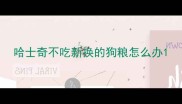哈士奇不吃新换的狗粮怎么办