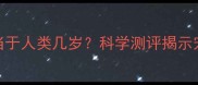 狗狗智商排名相当于人类几岁科学测评揭示宠物大脑发育全周期
