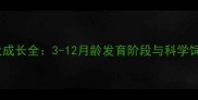 德牧幼犬成长全3-12月龄发育阶段与科学饲养指南