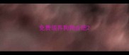 免费领养狗狗合肥