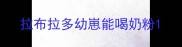 拉布拉多幼崽能喝奶粉