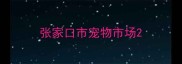 张家口市宠物市场