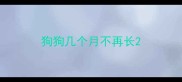 狗狗几个月不再长