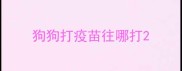 狗狗打疫苗往哪打